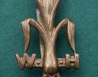 WW1 The Welsh (Yeomanry) Horse (Lancers) Cap Badge