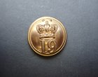 19TH REGIMENT OF FOOT, EAST RIDING YORKSHIRE REGIMENT OFFICERS BUTTON 1855-1881