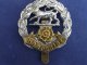 Hampshire Regiment Cap Badge