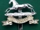 Scarce Anodised West Yorkshire Regiment Cap Badge 'Timings Ltd'