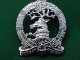 Rare Morgan Academy, Chromed CCF Cap Badge