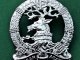 Rare Morgan Academy, Chromed CCF Cap Badge
