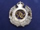 Genuine Royal Engineers GviR Cap Badge